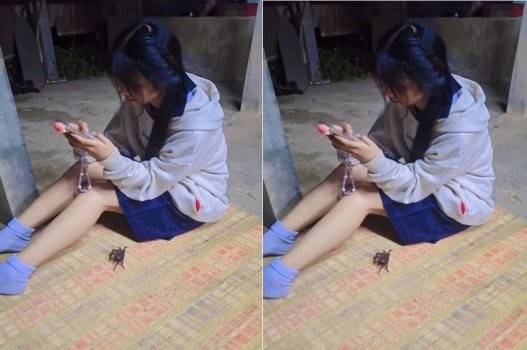 Sanh nhà chơi nhưng lại vét máng cho bạn